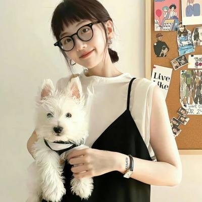 花落莺啼春